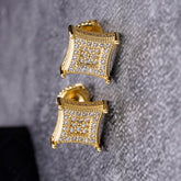 Promptus Sterling Silver Earrings